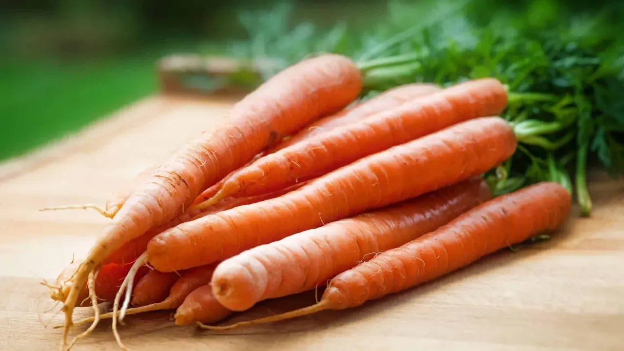 En hög med färska, orange morötter med gröna blastar ligger på en träskärbräda. Dessa nyttiga rotfrukter, som finns i morot, är redo att användas i köket.
