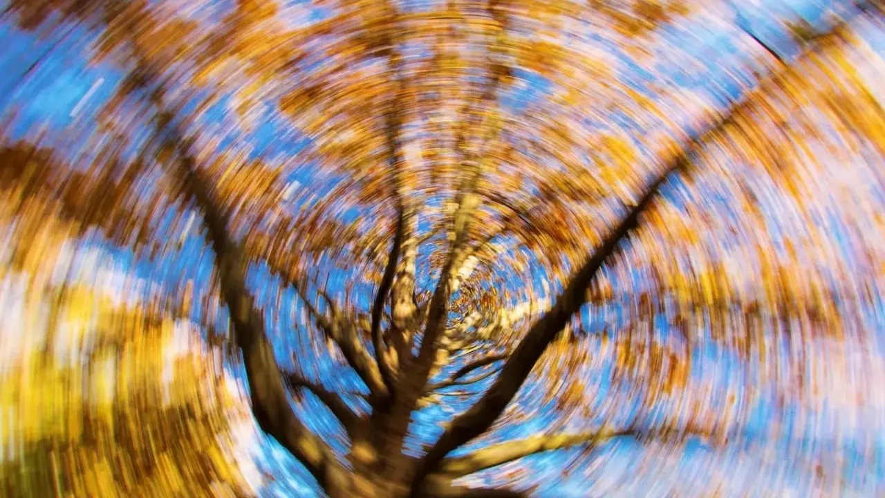 Trädets grenar snurrar i en virvel av höstfärger mot en blå himmel, som en känsla av yrsel orsakad av zinkbrist.
