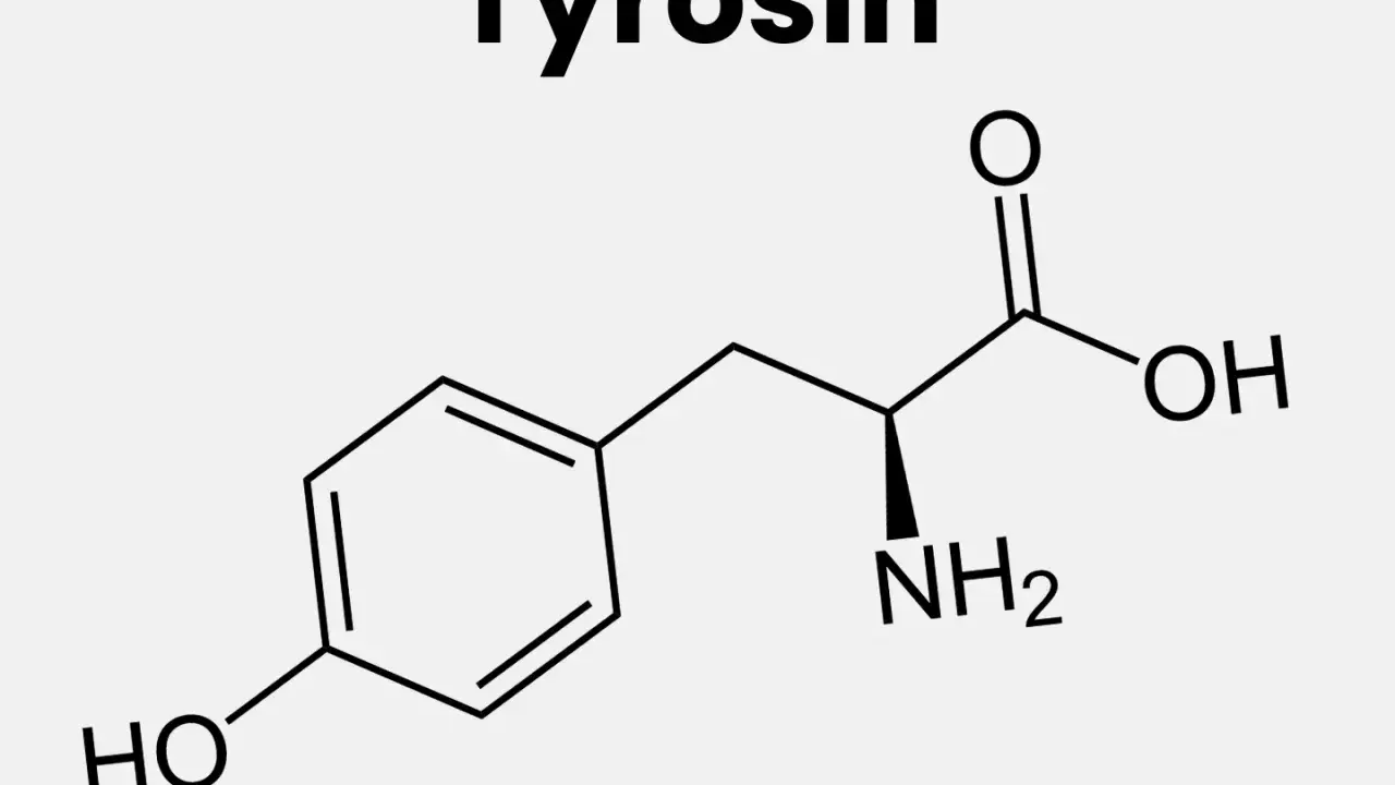 Kemisk struktur för tyrosin. Brist på tyrosin kan ge symtom som trötthet och koncentrationssvårigheter.