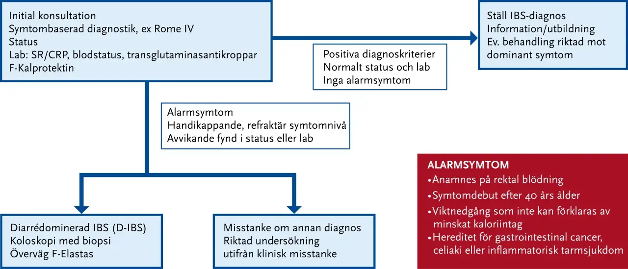 Flödesschema för IBS-diagnostik, inklusive initial konsultation, lab-tester som F-Kalprotektin, och bedömning av alarmsymtom.
