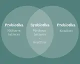 Bild visar en Venn-diagram som förklarar probiotika och prebiotika. Probiotika är mjölksyrabakterier, prebiotika är kostfibrer. Synbiotika är en kombination av båda.