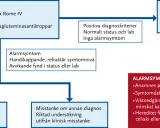 Flödesschema för IBS-diagnostik, inklusive initial konsultation, lab-tester som F-Kalprotektin, och bedömning av alarmsymtom.