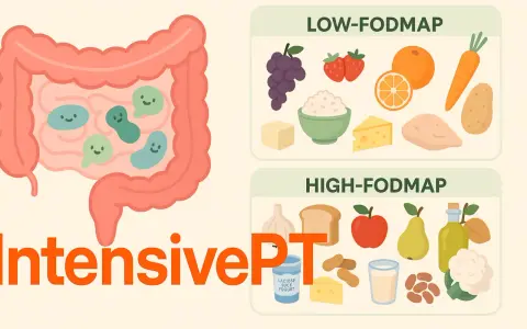 Illustration visar en tarm med glada bakterier och matlistor för low-FODMAP och high-FODMAP, relevant för personer med IBS.