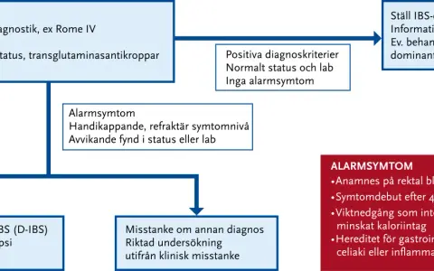 Flödesschema för IBS-diagnostik, inklusive initial konsultation, lab-tester som F-Kalprotektin, och bedömning av alarmsymtom.
