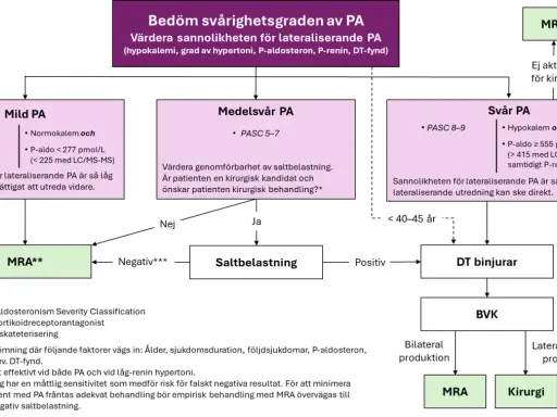 Flödesschema för bedömning av PA. Vid svår PA kan spironolakton (MRA) vara ett alternativ, men biverkningar kan förekomma.