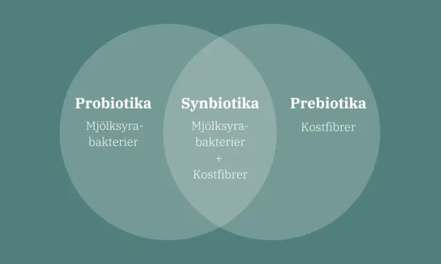 Bild visar en Venn-diagram som förklarar probiotika och prebiotika. Probiotika är mjölksyrabakterier, prebiotika är kostfibrer. Synbiotika är en kombination av båda.