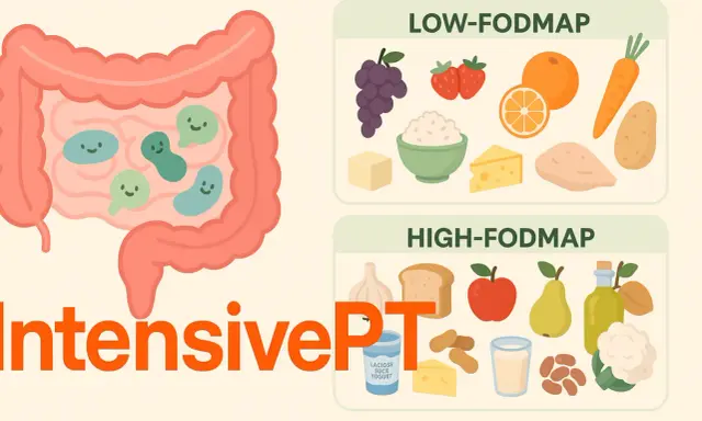 Illustration visar en tarm med glada bakterier och matlistor för low-FODMAP och high-FODMAP, relevant för personer med IBS.