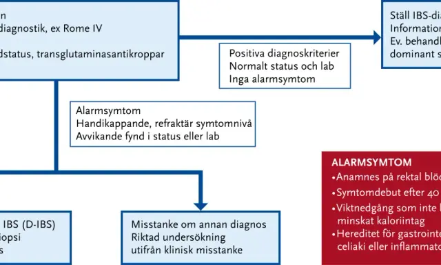 Flödesschema för IBS-diagnostik, inklusive initial konsultation, lab-tester som F-Kalprotektin, och bedömning av alarmsymtom.