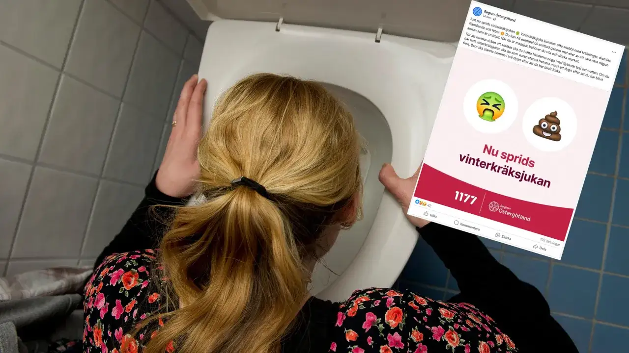 Kvinna med kräkningar över toalettstol. Texten informerar om vinterkräksjukan och dess calici inkubationstid.