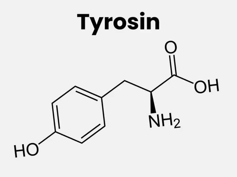 Kemisk struktur för tyrosin. Brist på tyrosin kan ge symtom som trötthet och koncentrationssvårigheter.